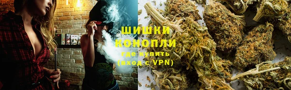 стаф Белоозёрский