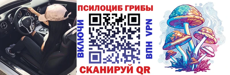 Галлюциногенные грибы Psilocybe  Плёс 
